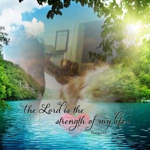 Meet your Posher, Rodney